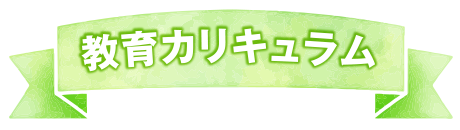 教育カリキュラム
