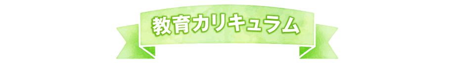 教育カリキュラム